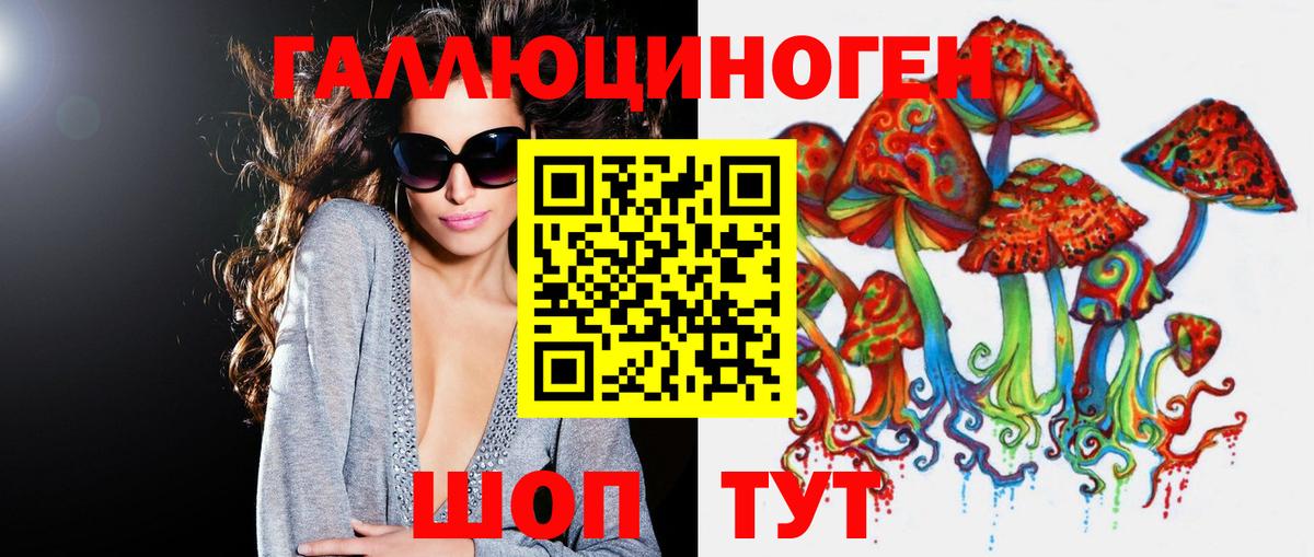Псилоцибиновые грибы Psilocybe Лосино-Петровский